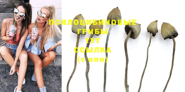 шишки Баксан