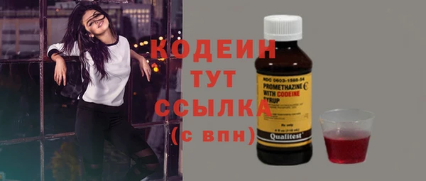 шишки Баксан