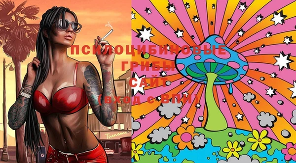 прущие крисы Белокуриха