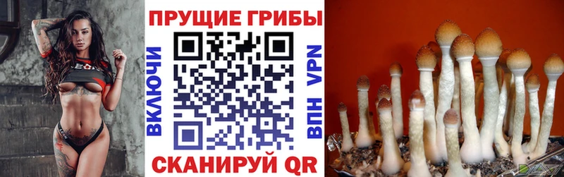 Псилоцибиновые грибы MAGIC MUSHROOMS Электрогорск